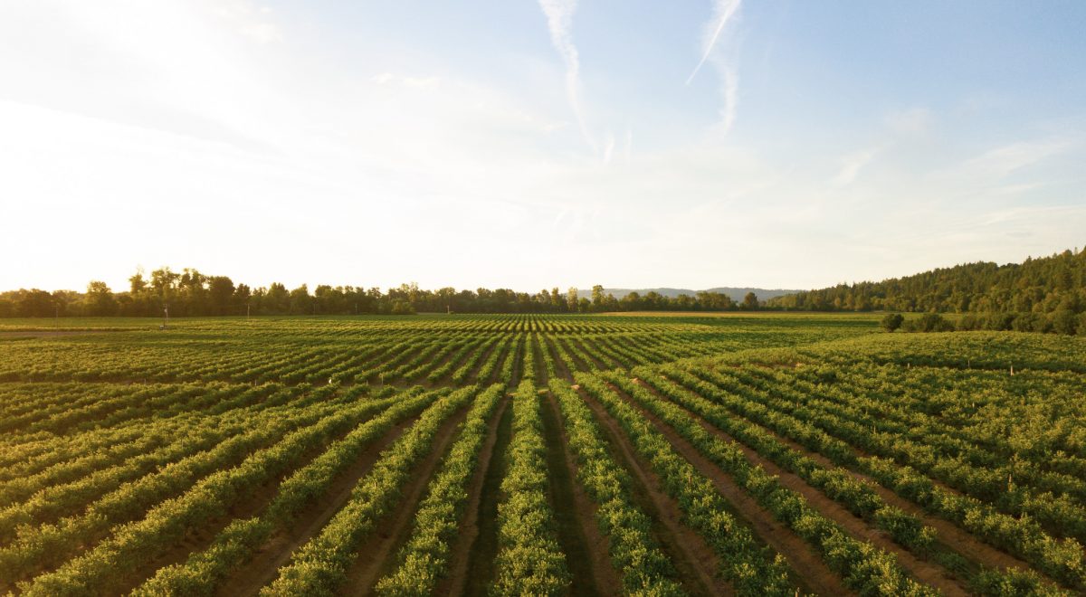 Carer support for farming communities
